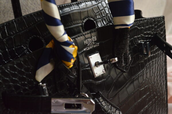DSC_0079 Hermes Burkin