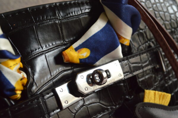 DSC_0091 Hermes Burkin