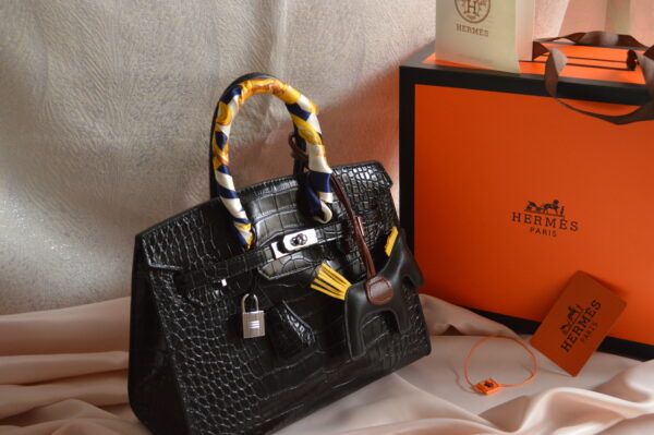 DSC_0108 Hermes Burkin